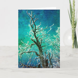 Cartão Congeladas Todas as Ocasiões