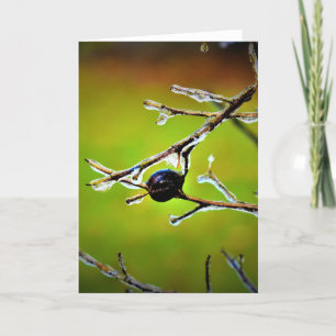 Cartão Congelamento de inverno, placa