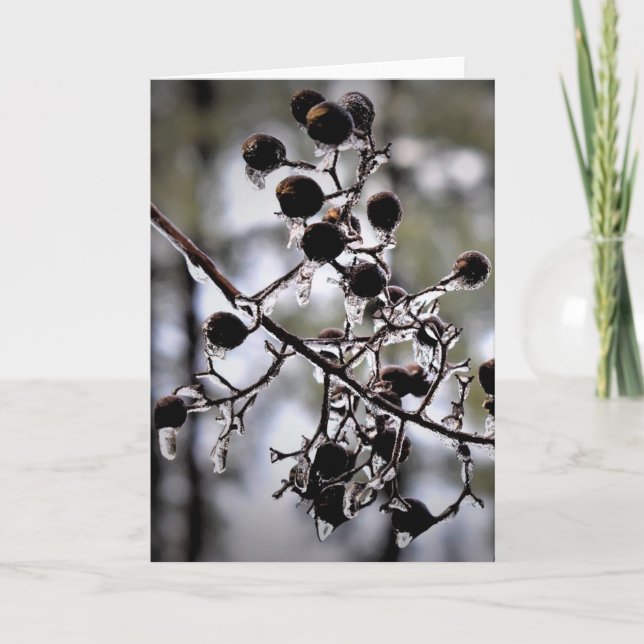 Cartão Congelamento de inverno, placa (Frente)