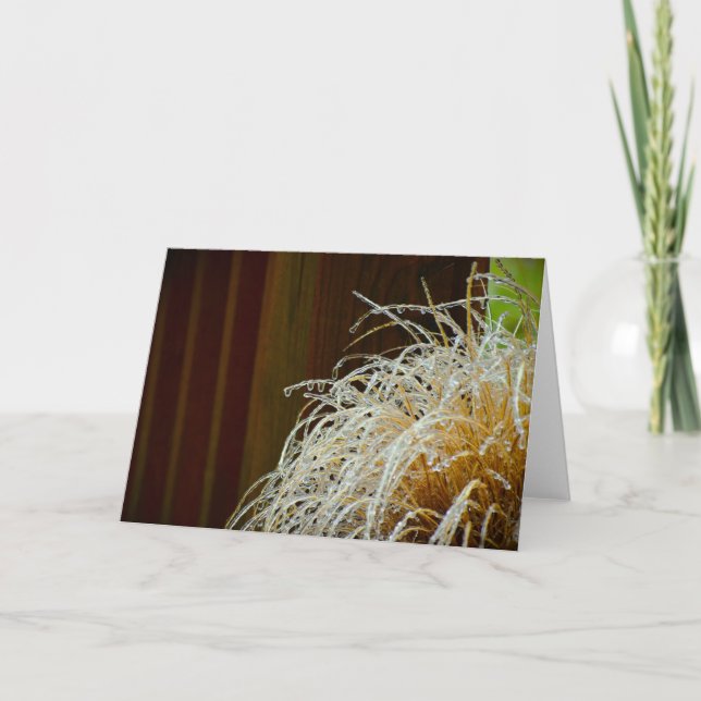 Cartão Congelamento de inverno, placa (Frente)