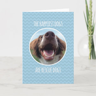 Cartão Congratulations, Adopting Rescue Dog, Blue Chevron