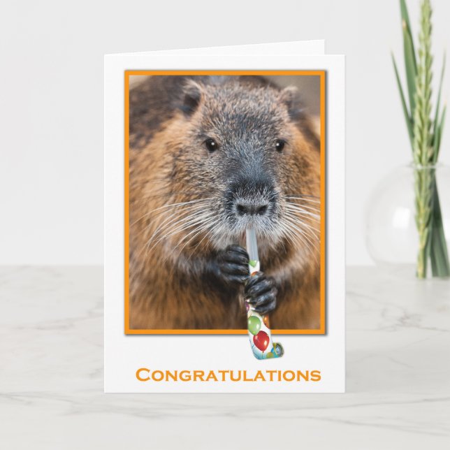 Cartão Congratulations card of beaver with flute (Frente)