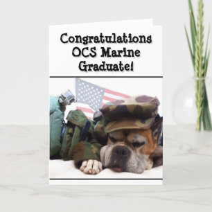 Cartão Congratulations OCS Marine boxer dog greeting card