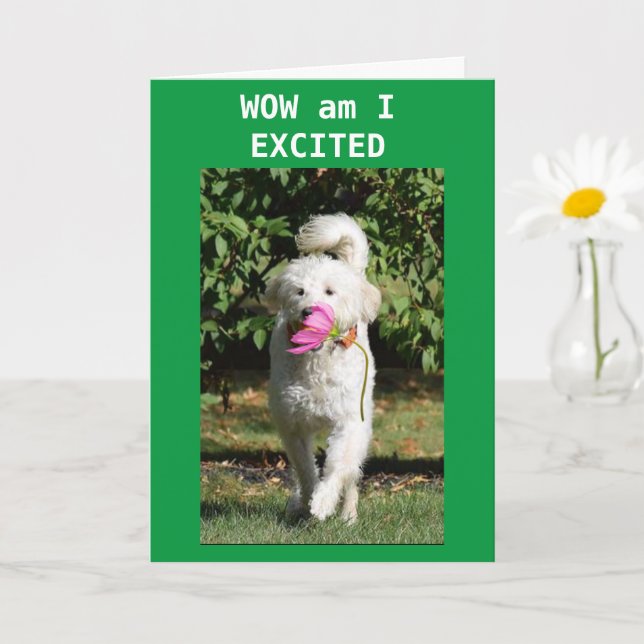 CARTÃO CONGRATULATIONS ON YOUR **PROMOTION** (Planta pequena)