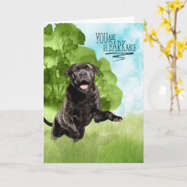 Cartão Congratulations reBARKable Cane Corso Dog