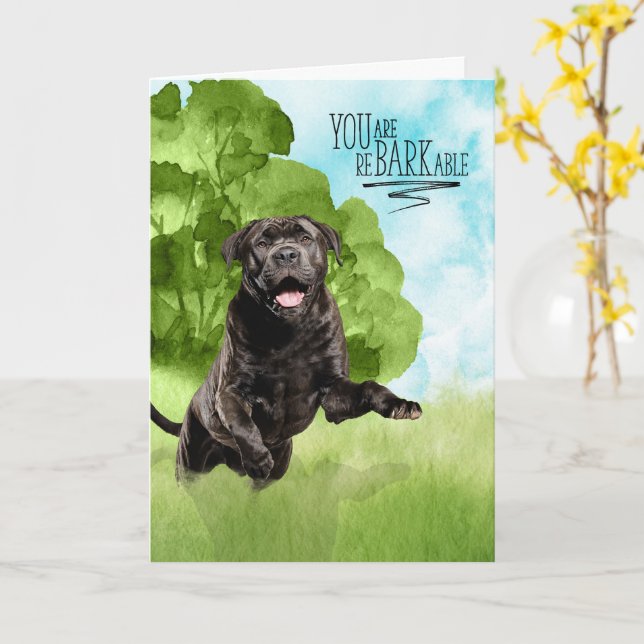 Cartão Congratulations reBARKable Cane Corso Dog (Flor Amarela)
