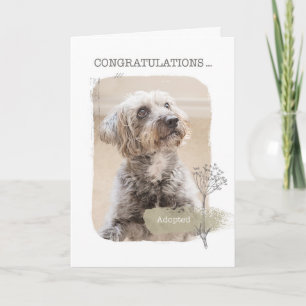 Cartão Congratulations Shelter Dog Adoption Card