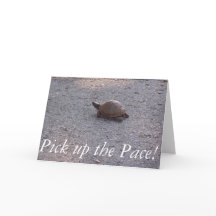 Conheça Bem Em Breve