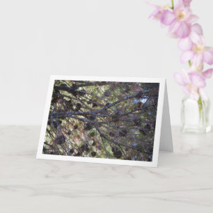 Cartão Conífer Cones na Árvore do Pinho