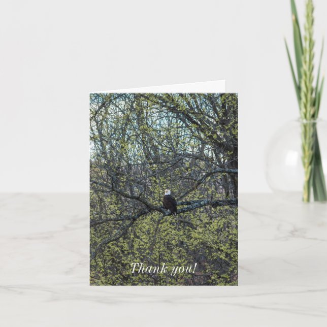 Cartão Consciência da águia (Frente)