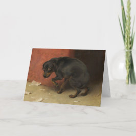 Cartão Consciência Faz Borricas De Todos Nós