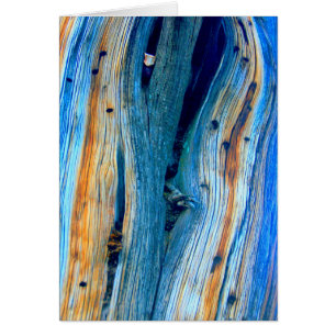 Cartão conselho de celeiro azul