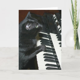 Cartão Considerando de órgão de gato