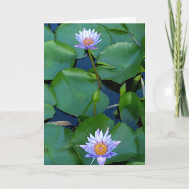 Cartão Conte suas bênçãos (Frente)