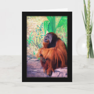 Cartão Contemplater - Placa