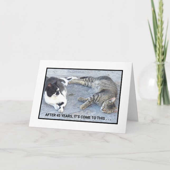 CARTÃO CONTEÚDO ANIVERSÁRIO/DOIS GATOS DE SLEEPY/ HUMOR (Frente)