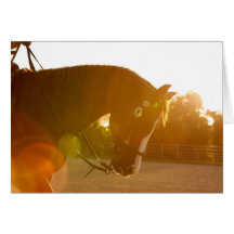 Controlar rochoso nos raios de sol