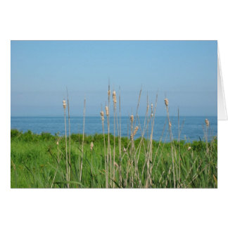 Cartão Conversações pelo mar