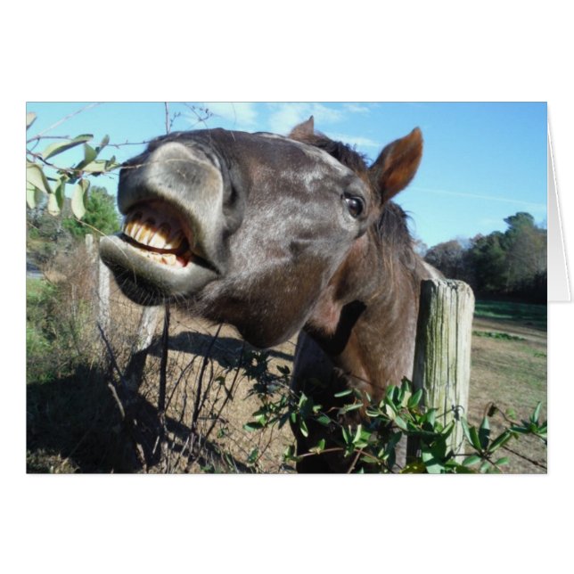 Cartão Conversando Cavalo Marrom (Frente Horizontal)