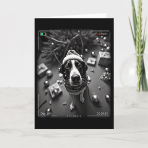 Cartão Coonhound Walker de Natal Preso na Câmera