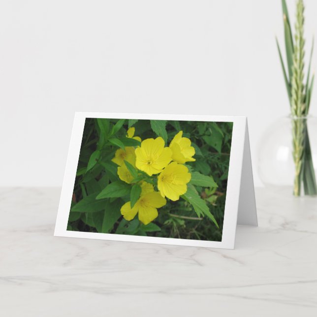 Cartão Copo (Frente)