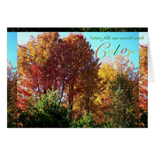 Cartão Cor da Folhagem (Frente Horizontal)
