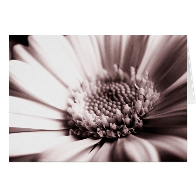 Cartão cor de laranja fresca (mono) (Frente Horizontal)