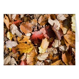 Cartão Cor de queda