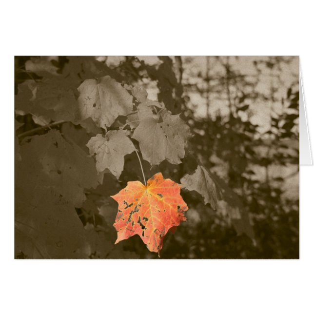 Cartão Cor de queda (Frente Horizontal)