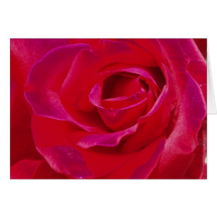 Cartão cor-de-rosa