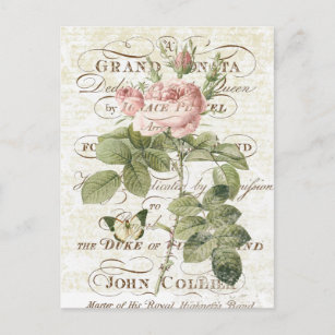 Cartão cor-de-rosa botânico francês do vintage