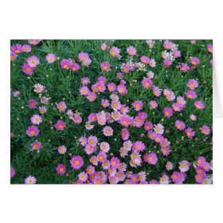 Cartão cor-de-rosa da flor