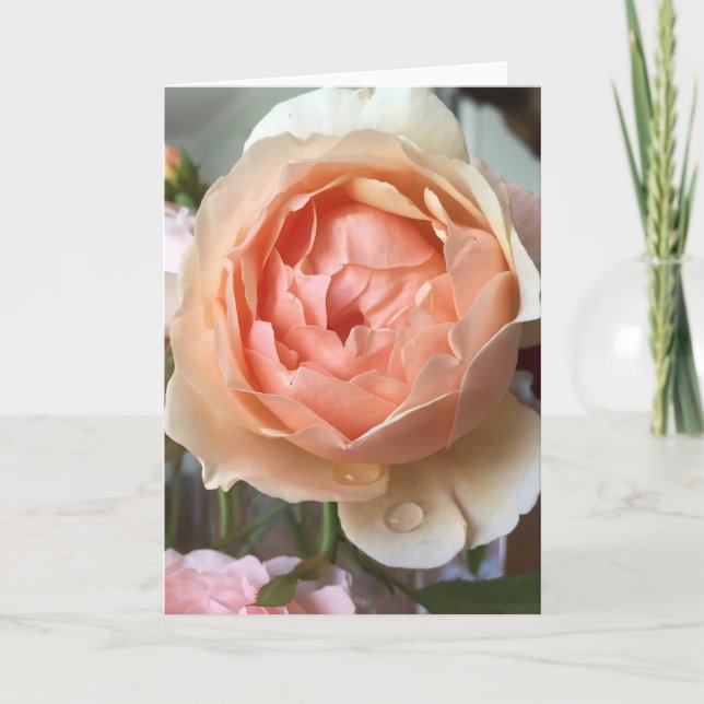 Cartão cor-de-rosa da flor (Frente)