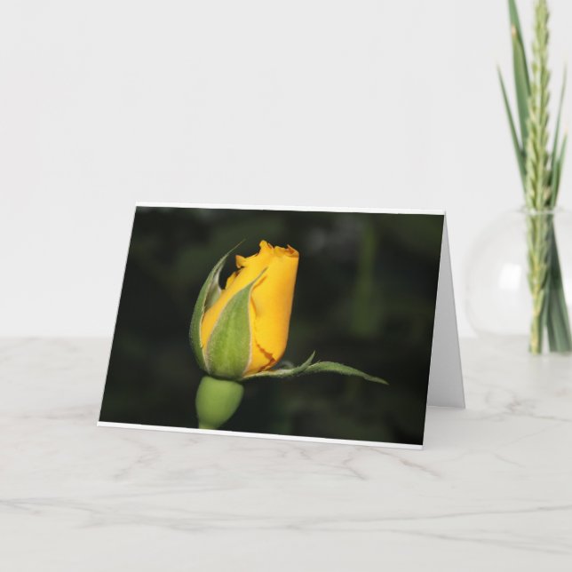 Cartão cor-de-rosa da inspiração com verso da (Frente)