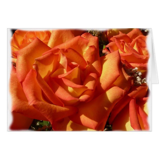 Cartão cor-de-rosa da laranja (Frente Horizontal)