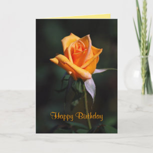 Cartão cor-de-rosa da laranja do feliz aniversari