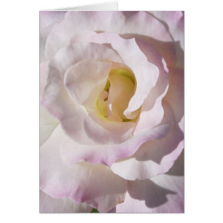 Cartão cor-de-rosa da paz