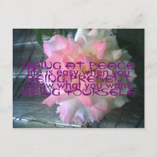 Cartão cor-de-rosa da paz