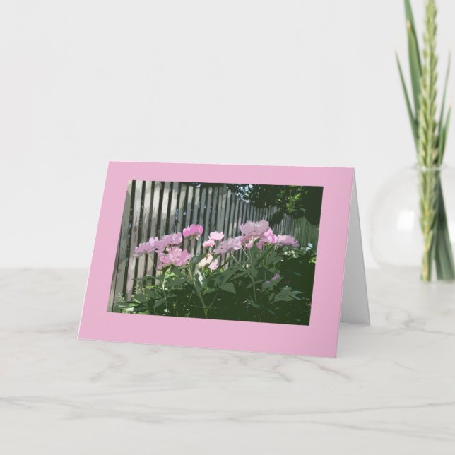 Cartão cor-de-rosa das peônias (Frente)