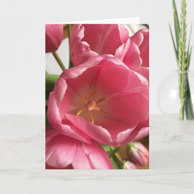 Cartão cor-de-rosa das tulipas (Frente)