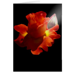 Cartão cor-de-rosa de Lydia