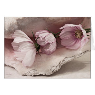 Cartão cor-de-rosa do cosmos três