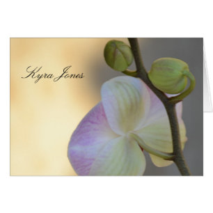 Cartão cor-de-rosa do lugar do nome da expressão