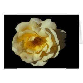 Cartão cor-de-rosa do Mac do uísque