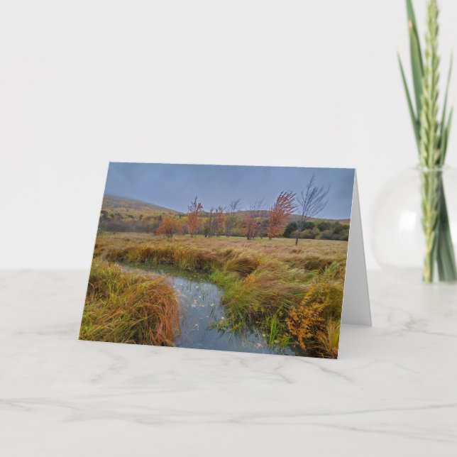 Cartão Cor do outono no Parque Nacional da Acadia (Frente)