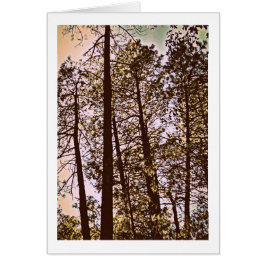 Cartão cor pelas árvores