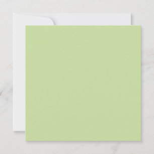 Cartão Cor Sólida Verde Maçã Pastel