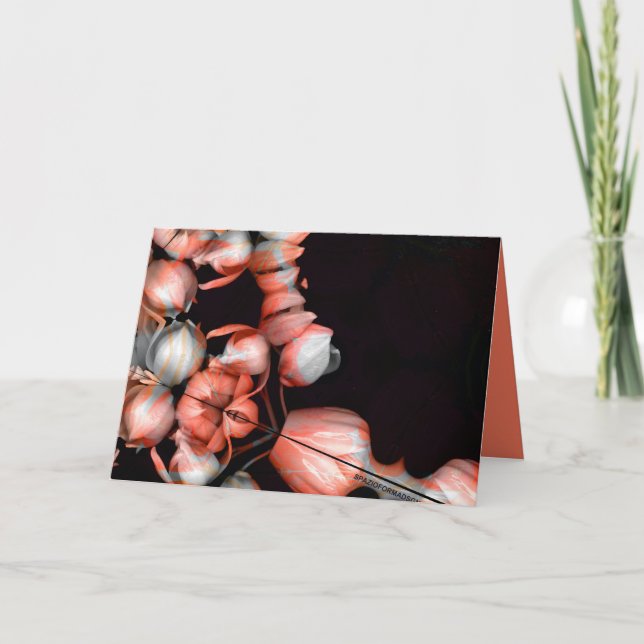 Cartão "Coração branco em preto do sol" & Jornada (Frente)