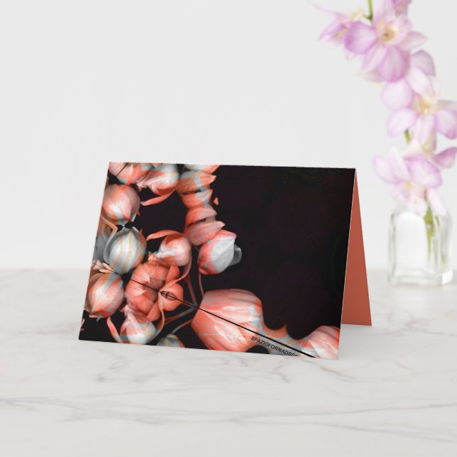 Cartão "Coração branco em preto do sol" & Silêncio (Orquídea)