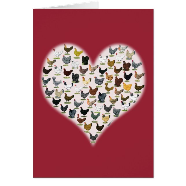 Cartão Coração de Galinha (Frente)